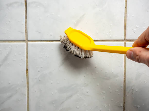 Best Attic Mold Removal  in La Villa, TX
